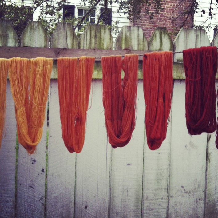 Freshly dyed wool in deep madder red, drying