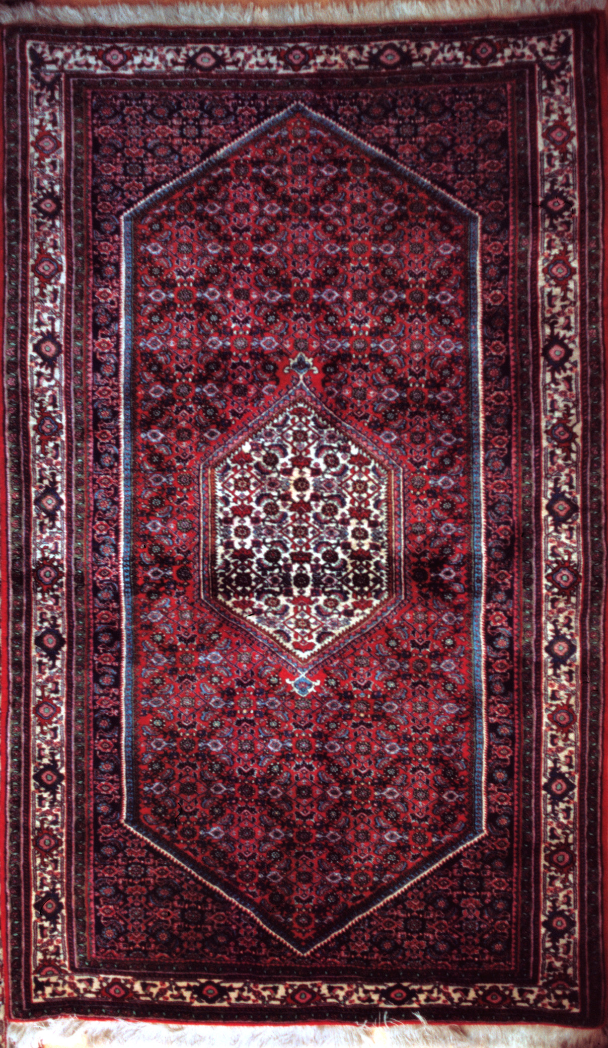 Herati pattern (Mahi) in a Bidjar rug