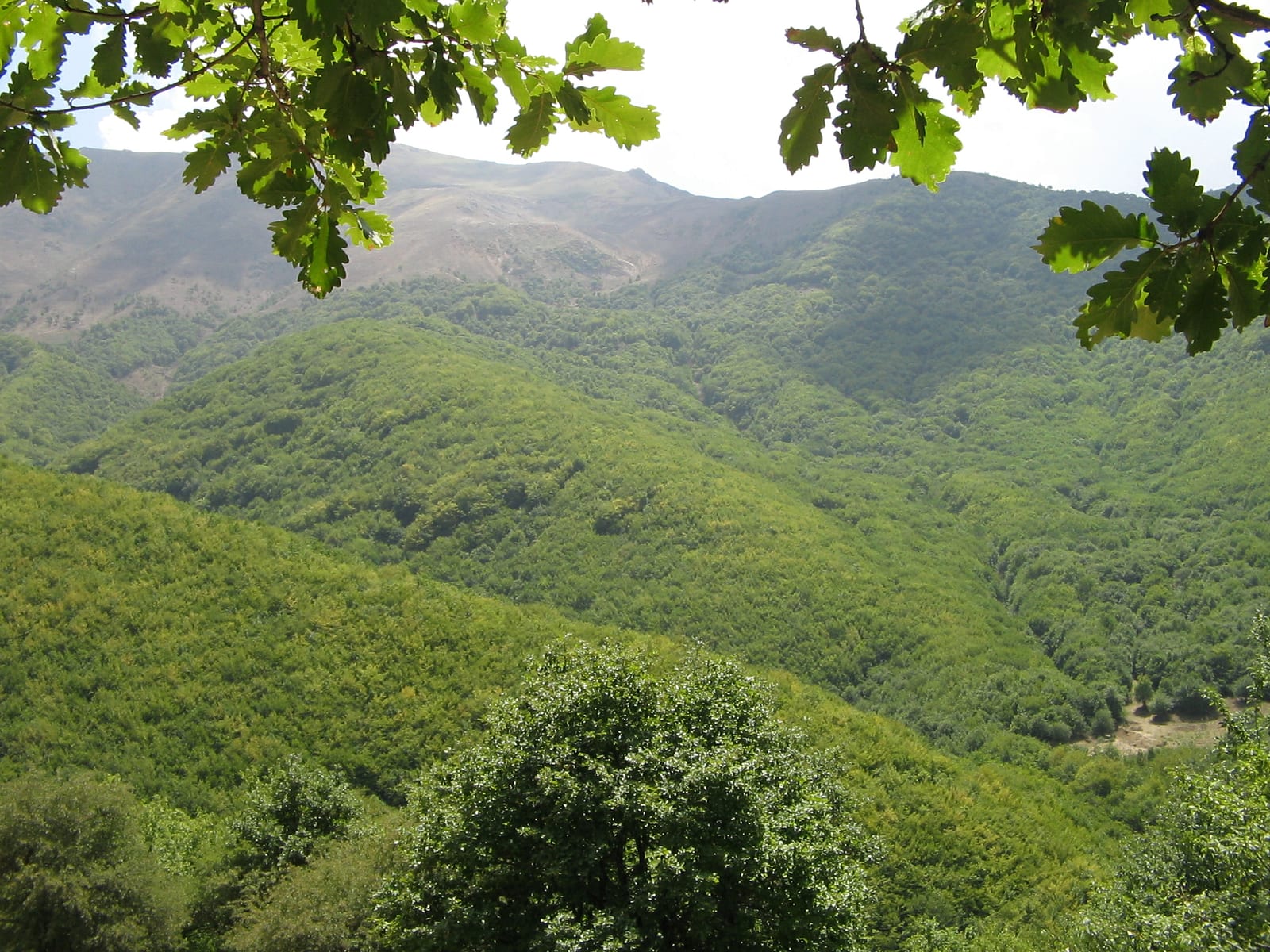 Arasbaran, Region Heris