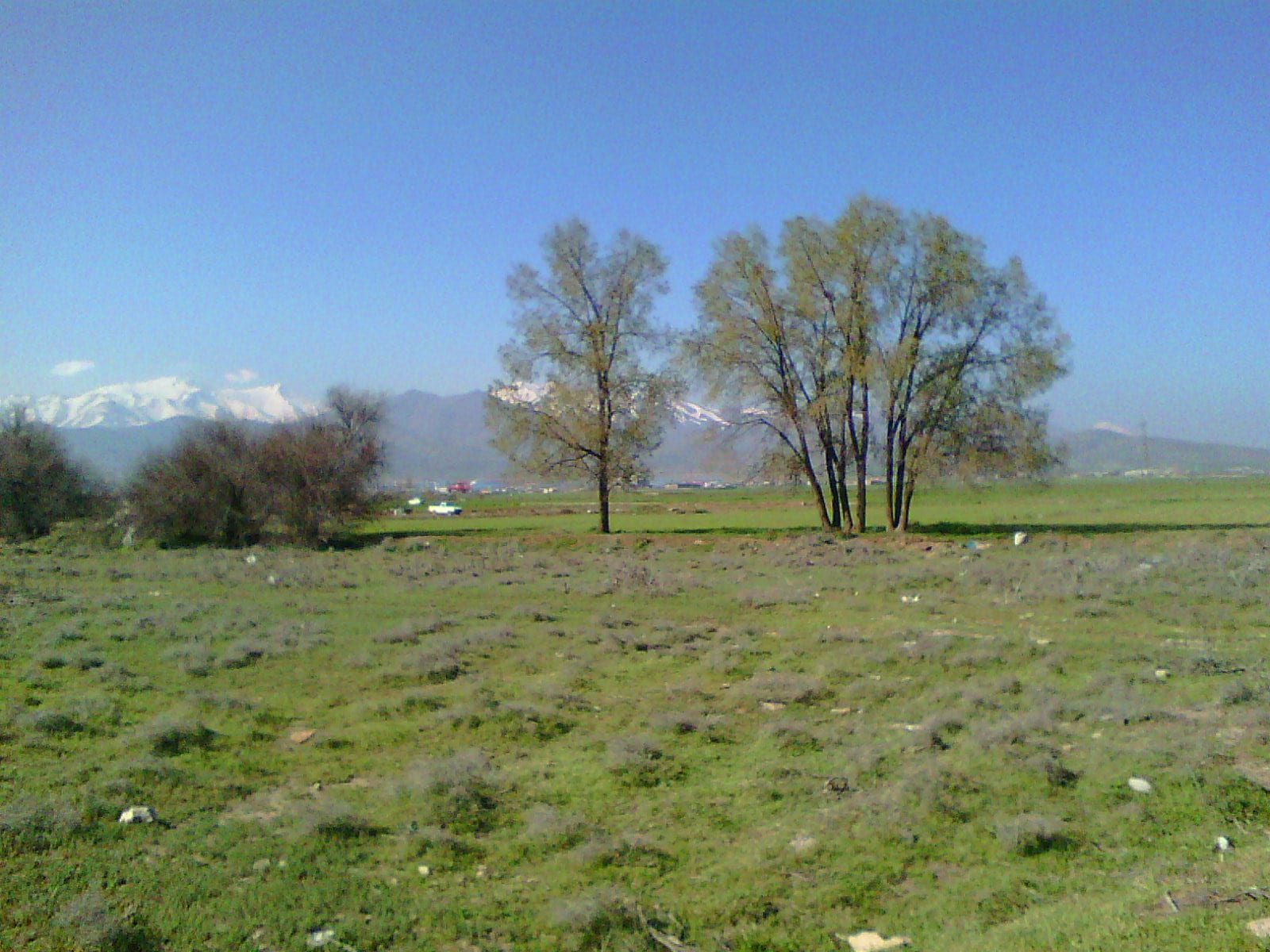 Nordhang des Alvand-Gebirges