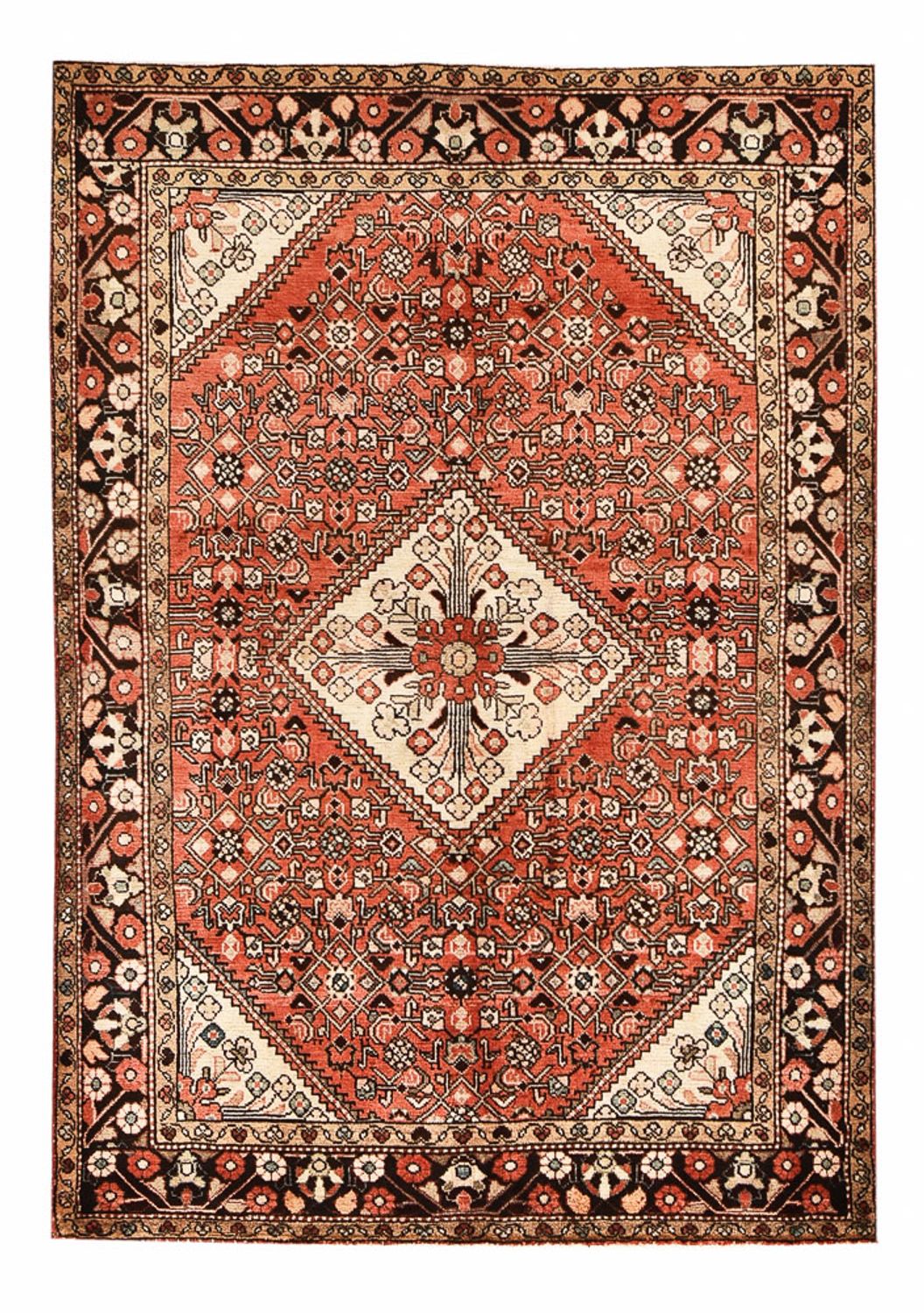 Borchalou 218 × 154 cm