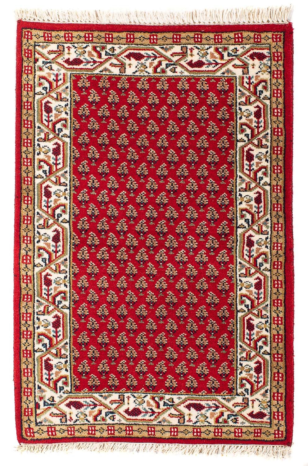 Indo Mir 90 × 60 cm